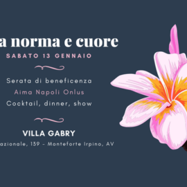 Tra Norma e Cuore – Charity Winter Shownight